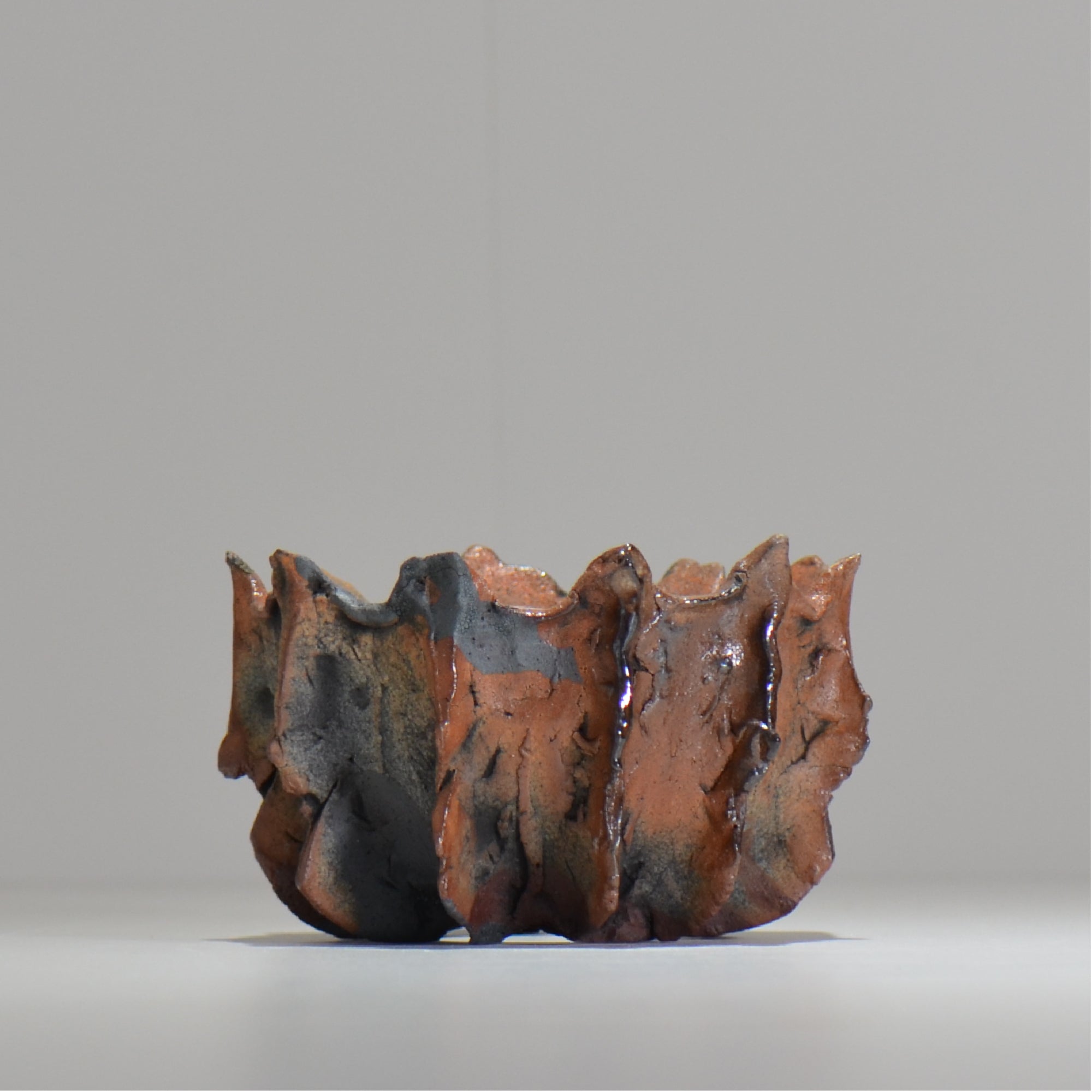 TAKASHI KIMURA/木村 貴史 – ハチラボ