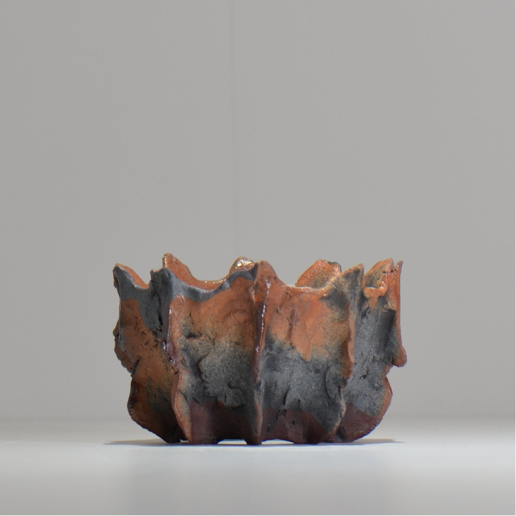 TAKASHI KIMURA/木村 貴史 – ハチラボ