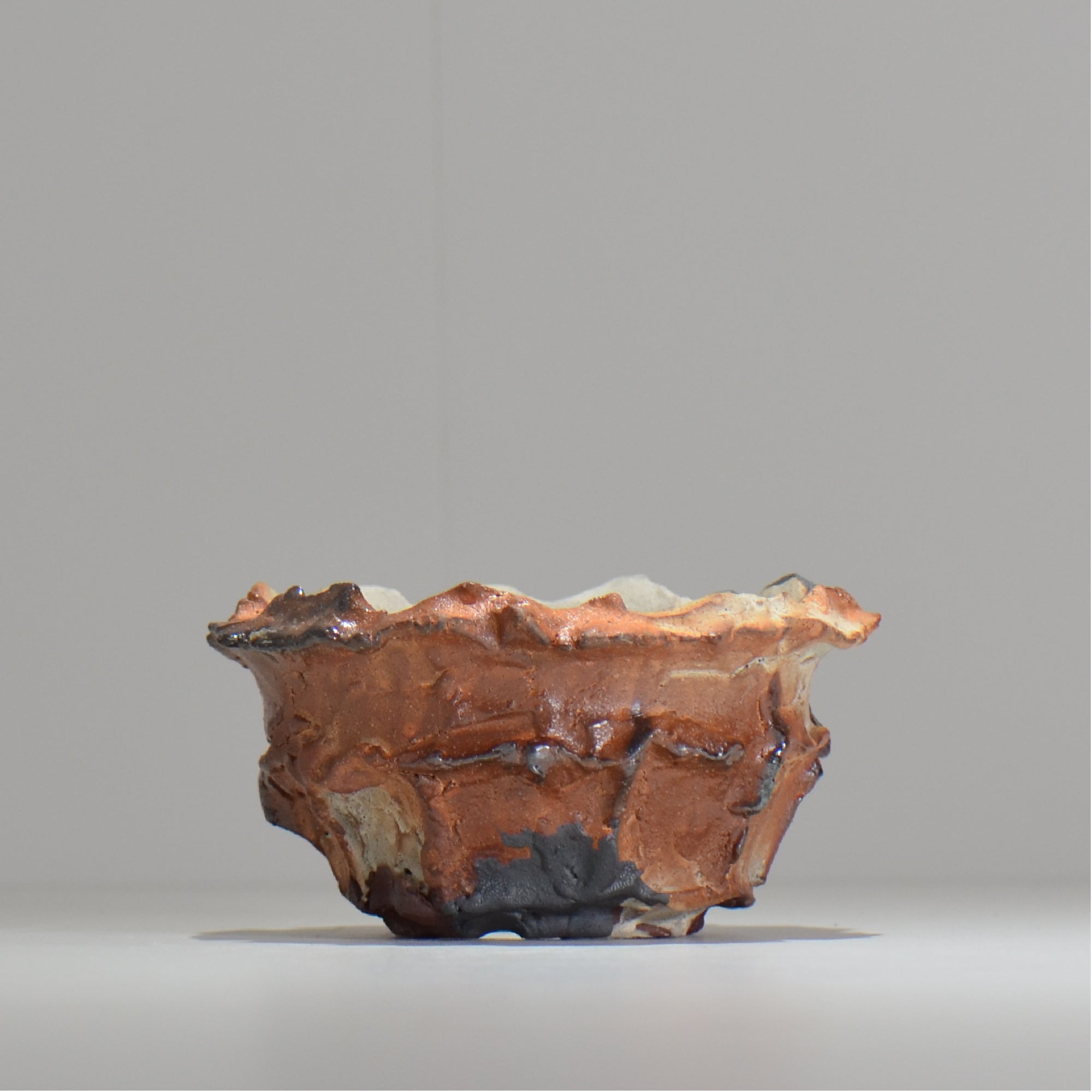 TAKASHI KIMURA/木村 貴史 – ハチラボ