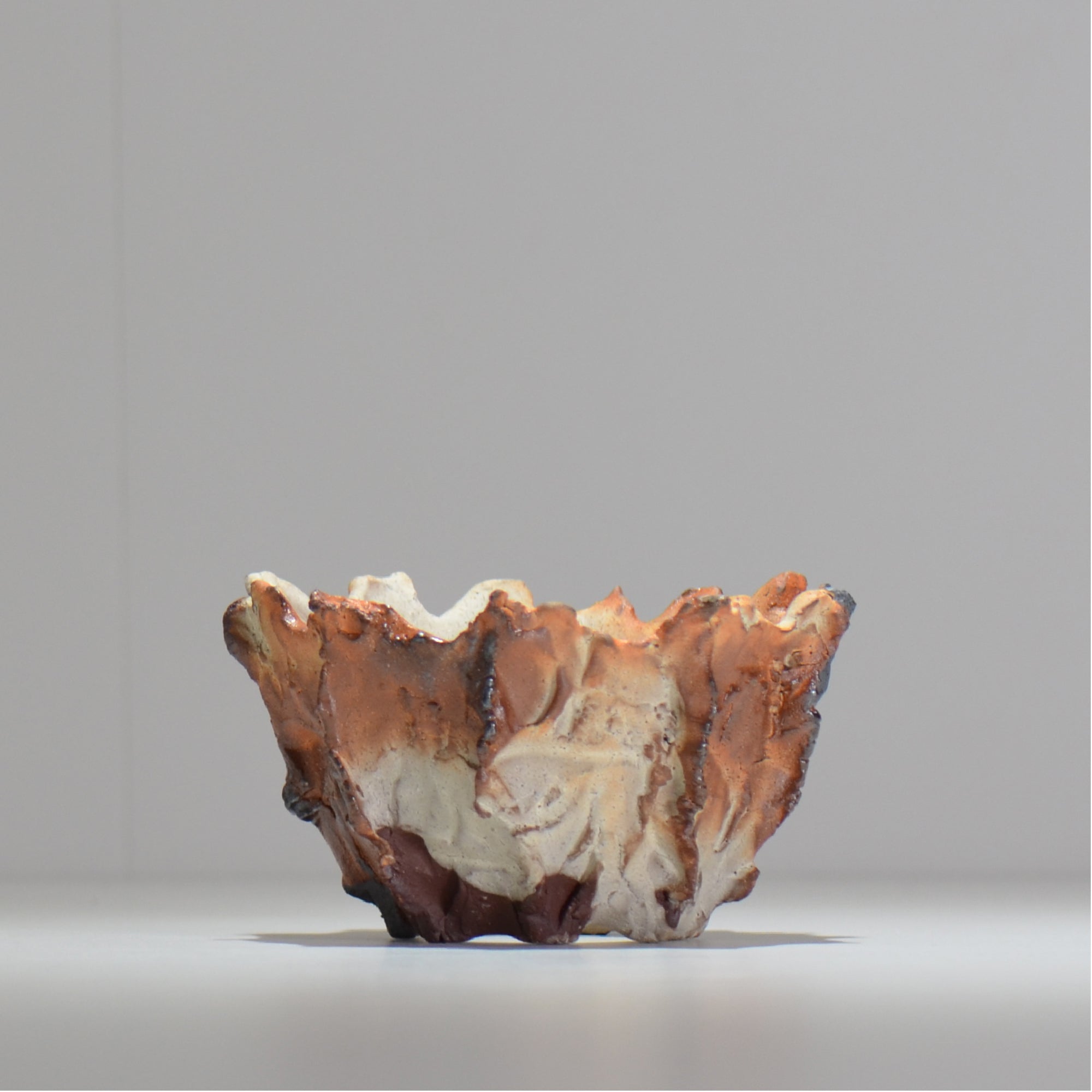 村田ドロロウ 作家鉢 梟鉢 コーデックス 多肉植物 村田ドロロウ 作家鉢