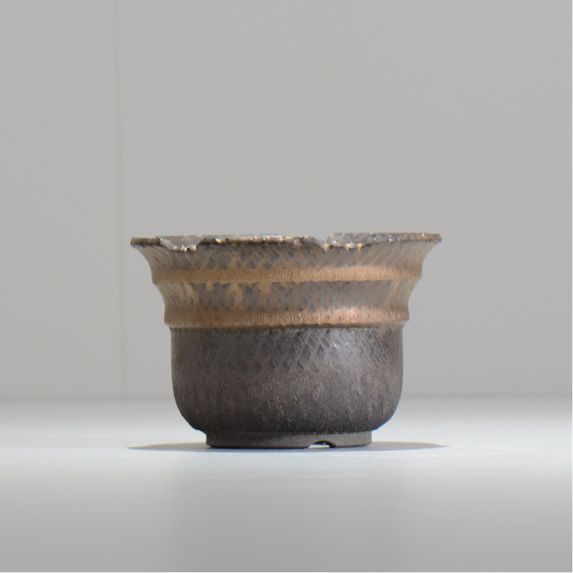 仲田唯希人 / LIZARD06_04 / 約φ10.8cm  / 植木鉢
