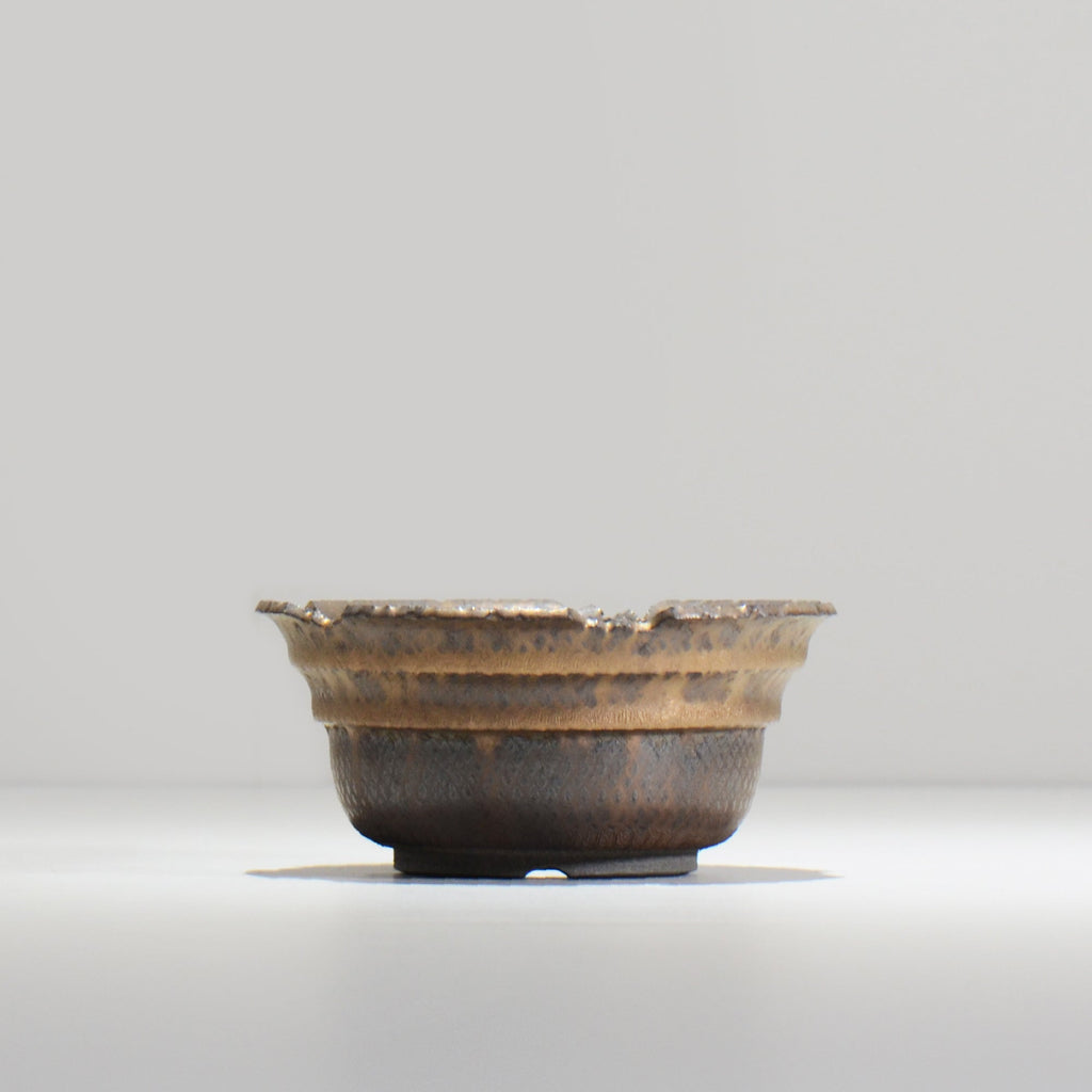 仲田唯希人 / LIZARD07_09 / 約φ13.3cm  / 植木鉢