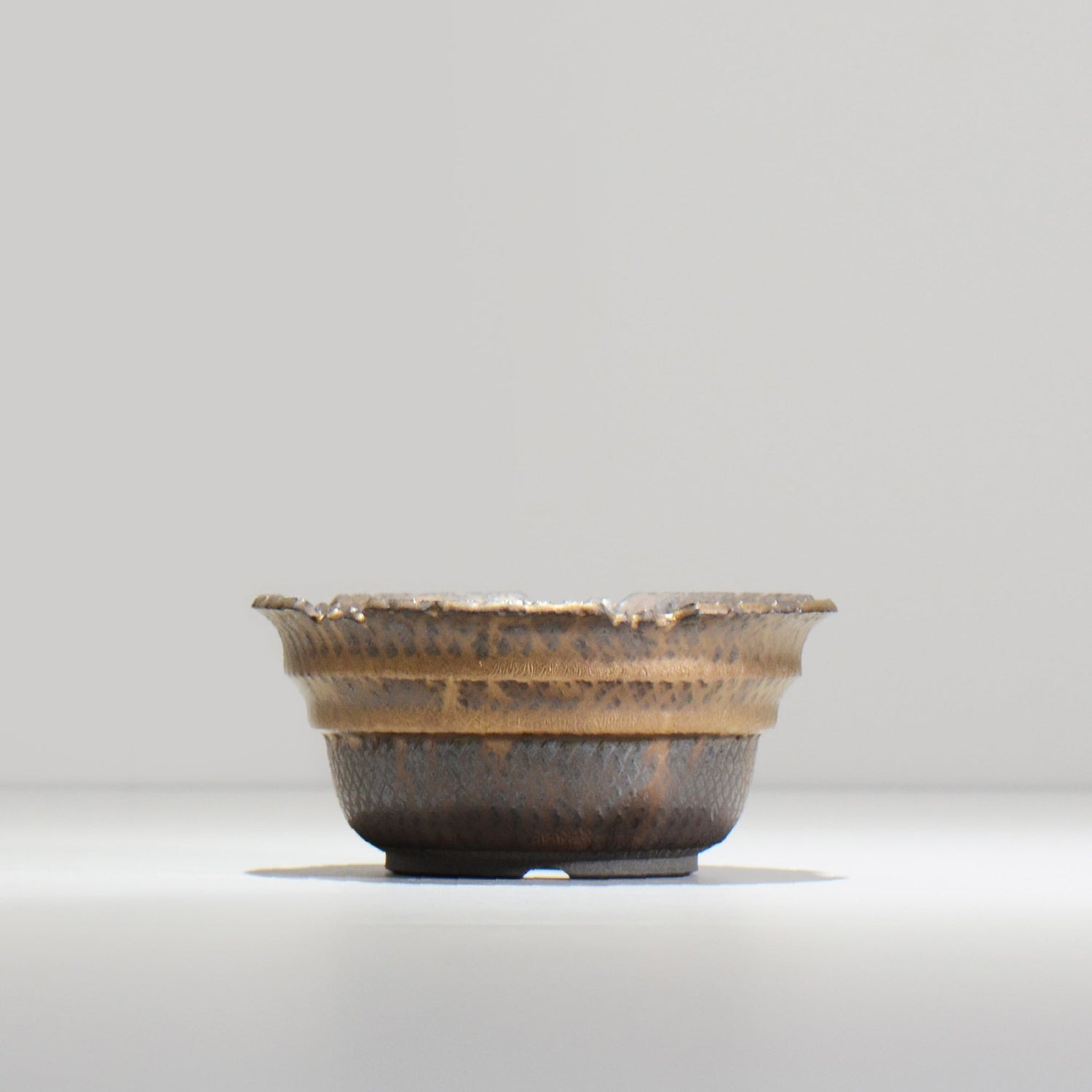 仲田唯希人 / LIZARD07_10 / 約φ13.4cm  / 植木鉢