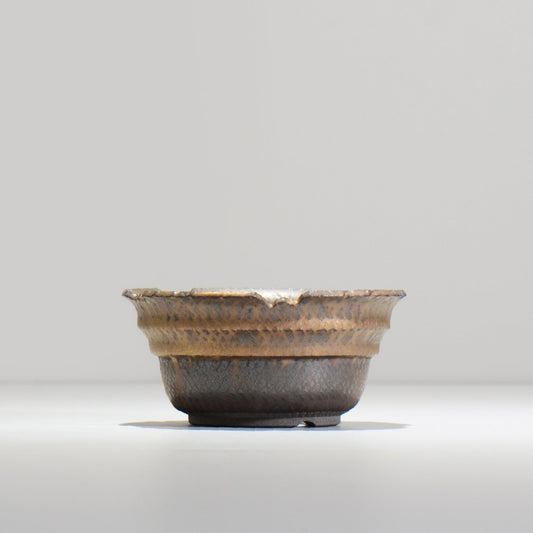 仲田唯希人 / LIZARD07_10 / 約φ13.4cm  / 植木鉢