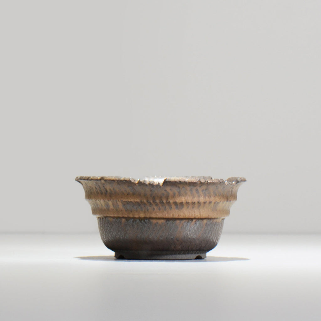 仲田唯希人 / LIZARD07_10 / 約φ13.4cm  / 植木鉢
