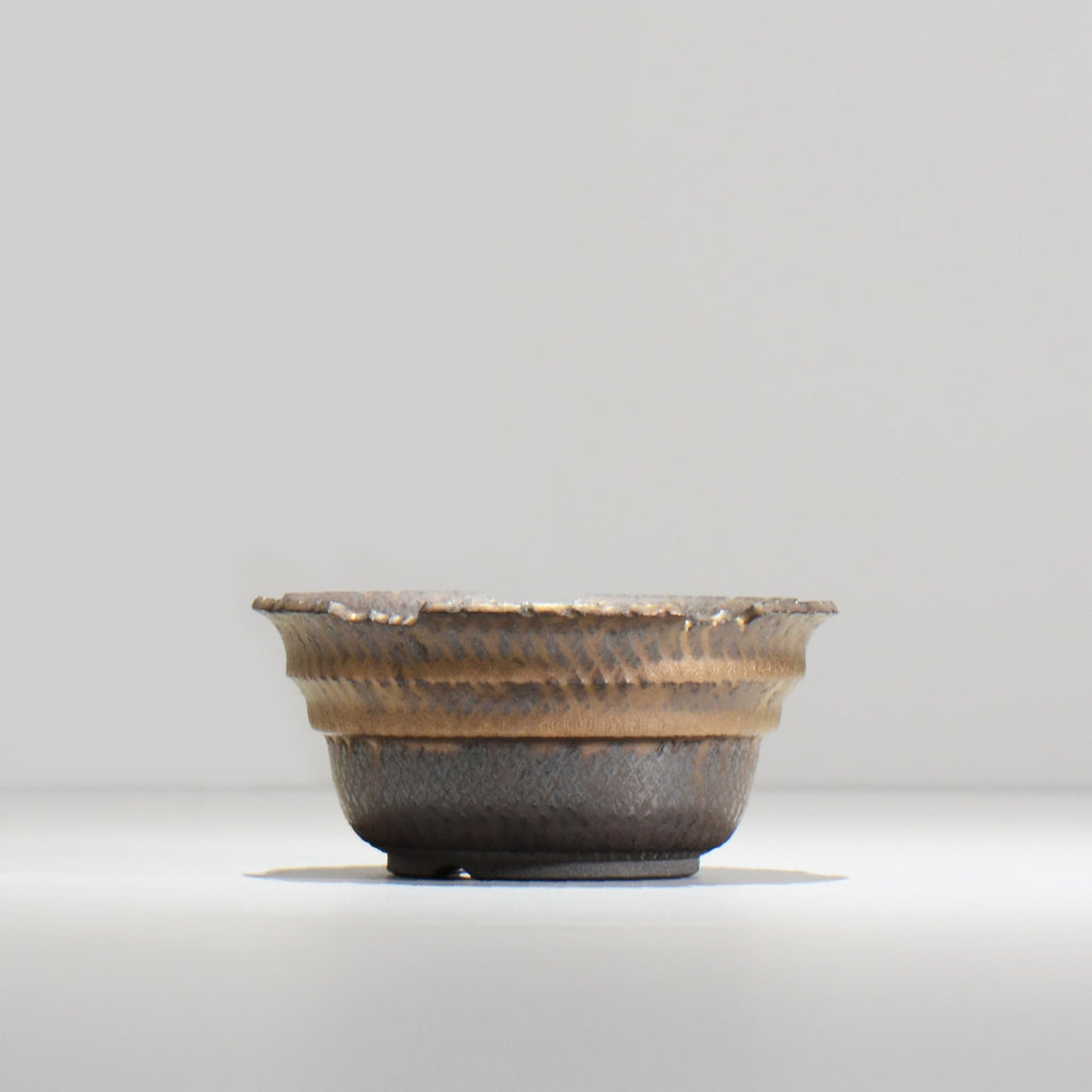 仲田唯希人 / LIZARD07_10 / 約φ13.4cm  / 植木鉢