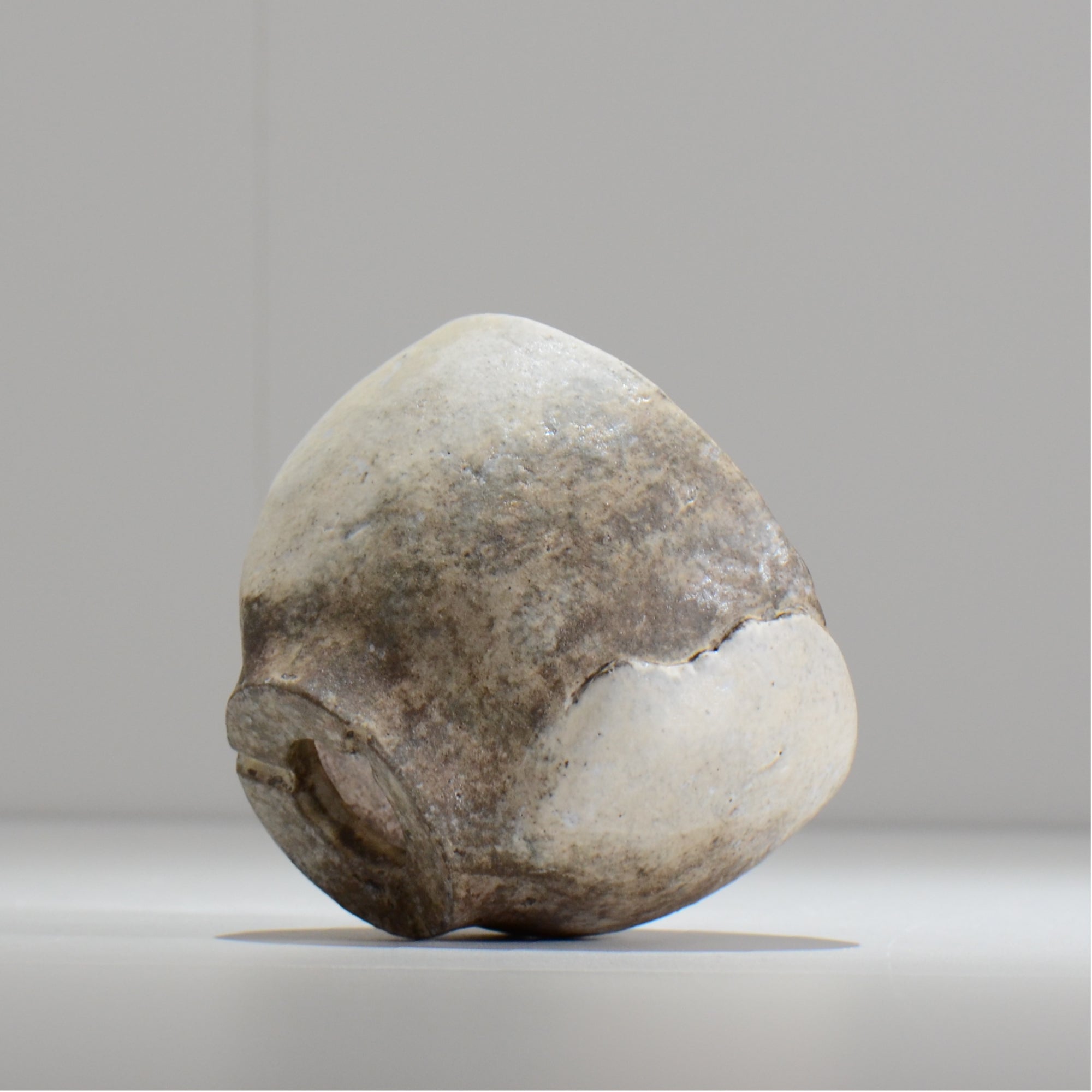 佐藤和美 / MELANGE2_05 / 約φ10.5cm  / 植木鉢