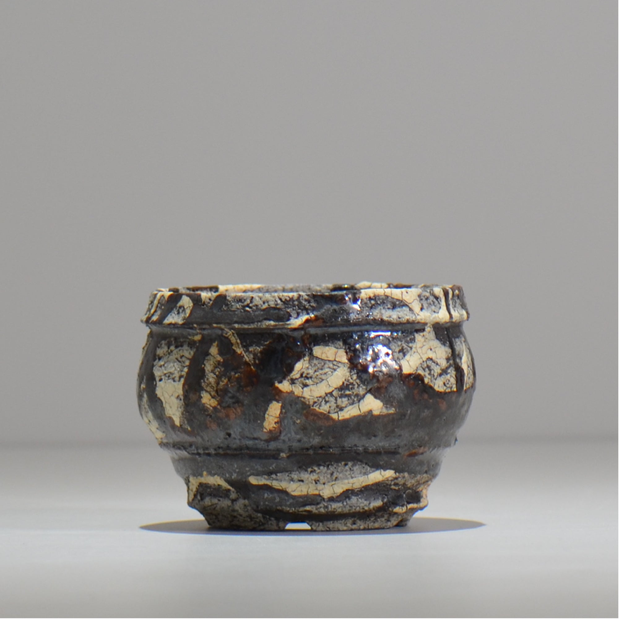 松井邦明 /  蔓  / mk2_kz01_xs / 約 8.8cm / 植木鉢