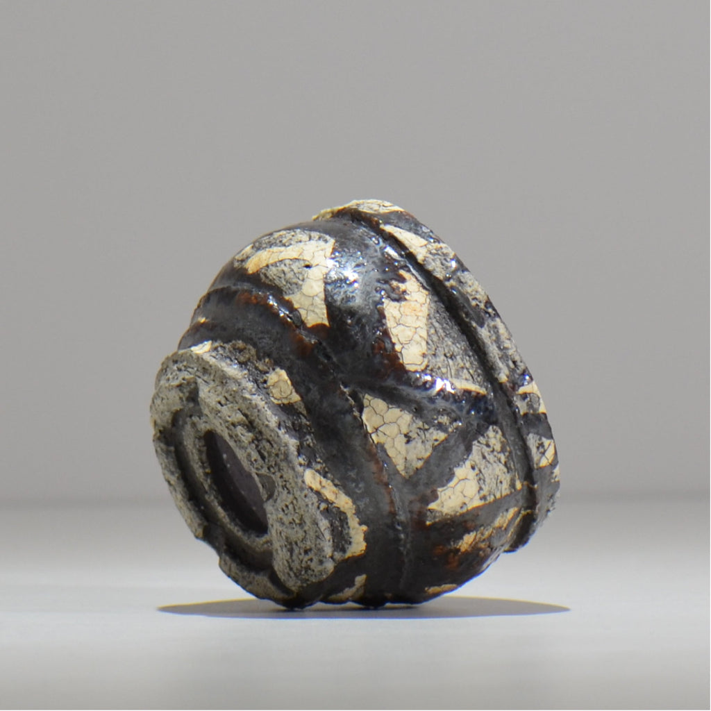 松井邦明 /  蔓  / mk2_kz01_xs / 約 8.8cm / 植木鉢