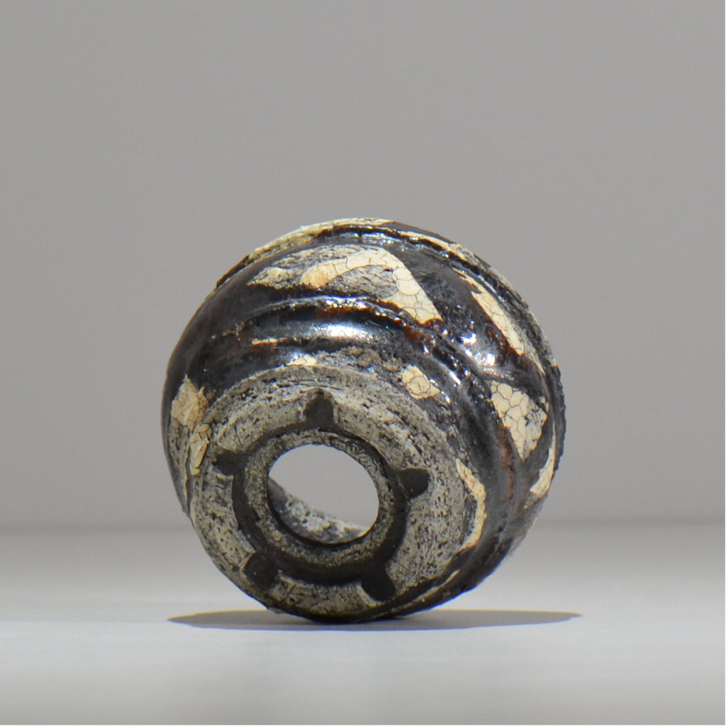 松井邦明 /  蔓  / mk2_kz01_xs / 約 8.8cm / 植木鉢