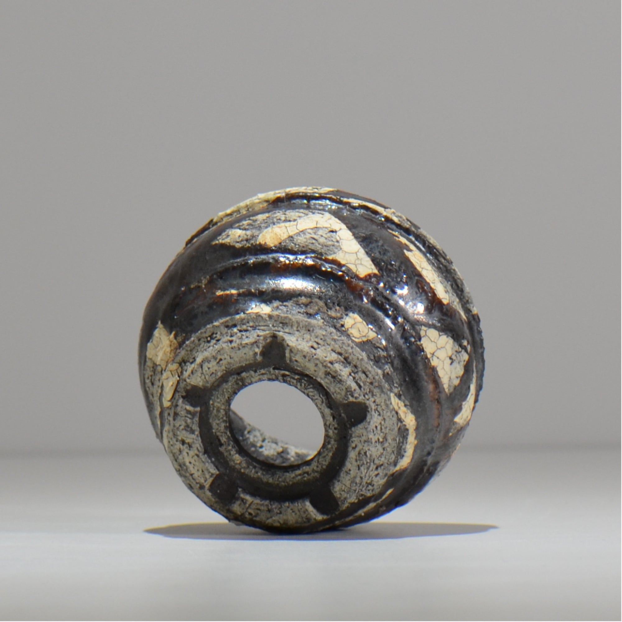 松井邦明 /  蔓  / mk2_kz01_xs / 約 8.8cm / 植木鉢