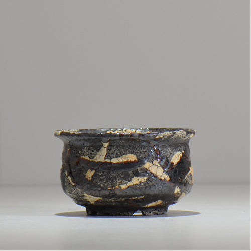 松井邦明 /  蔓  / mk2_kz04_s / 約 10.8cm / 植木鉢