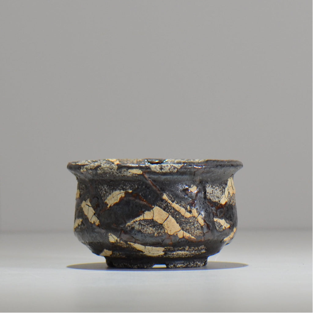 松井邦明 /  蔓  / mk2_kz04_s / 約 10.8cm / 植木鉢