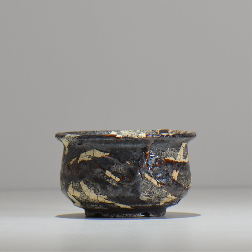 松井邦明 /  蔓  / mk2_kz04_s / 約 10.8cm / 植木鉢