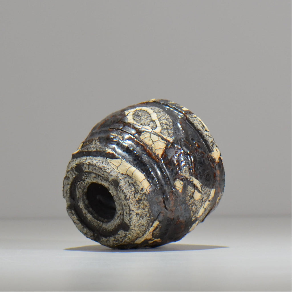 松井邦明 /  蔓  / mk2_kz05_xs / 約 8.7m / 植木鉢