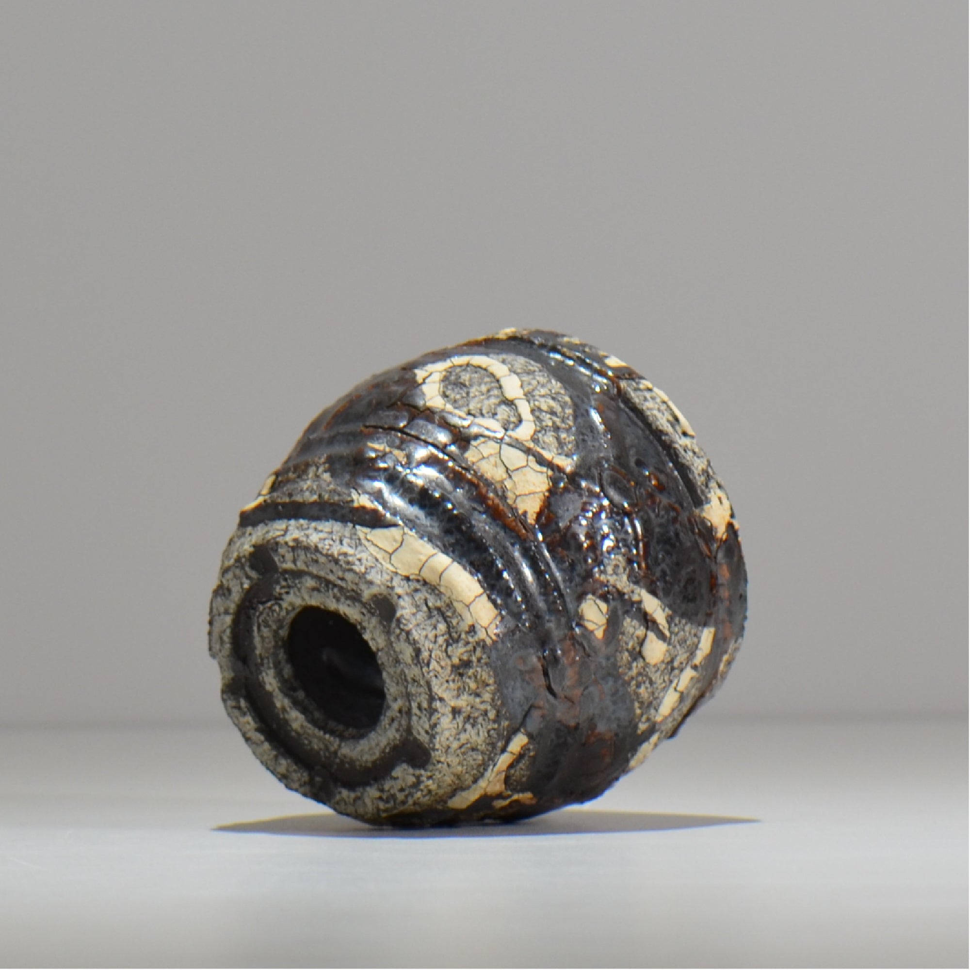 松井邦明 /  蔓  / mk2_kz05_xs / 約 8.7m / 植木鉢