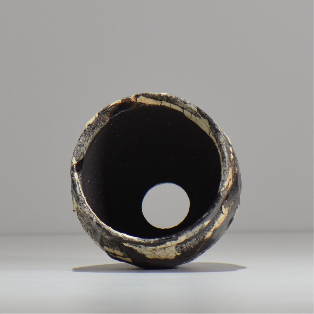 松井邦明 /  蔓  / mk2_kz05_xs / 約 8.7m / 植木鉢