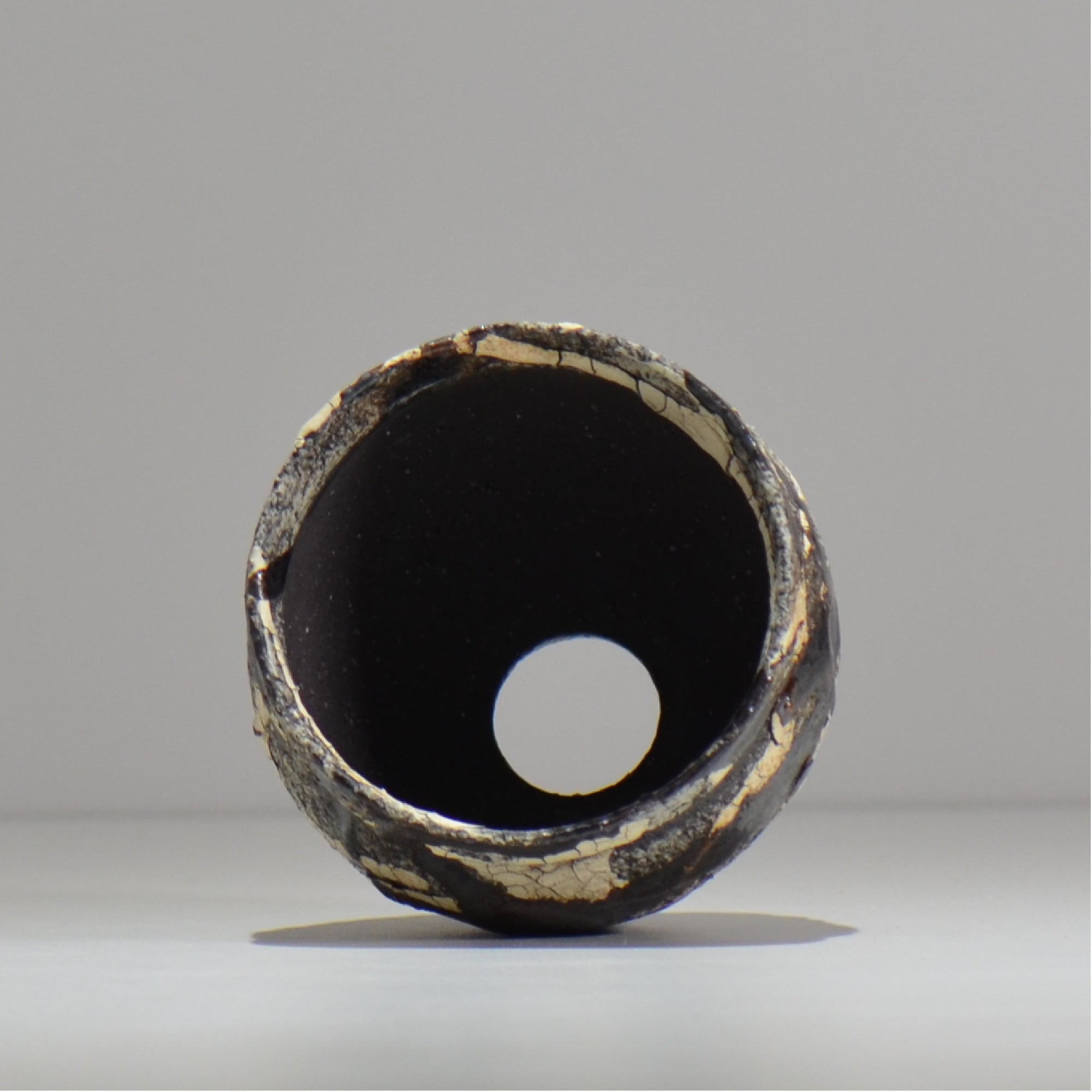 松井邦明 /  蔓  / mk2_kz05_xs / 約 8.7m / 植木鉢