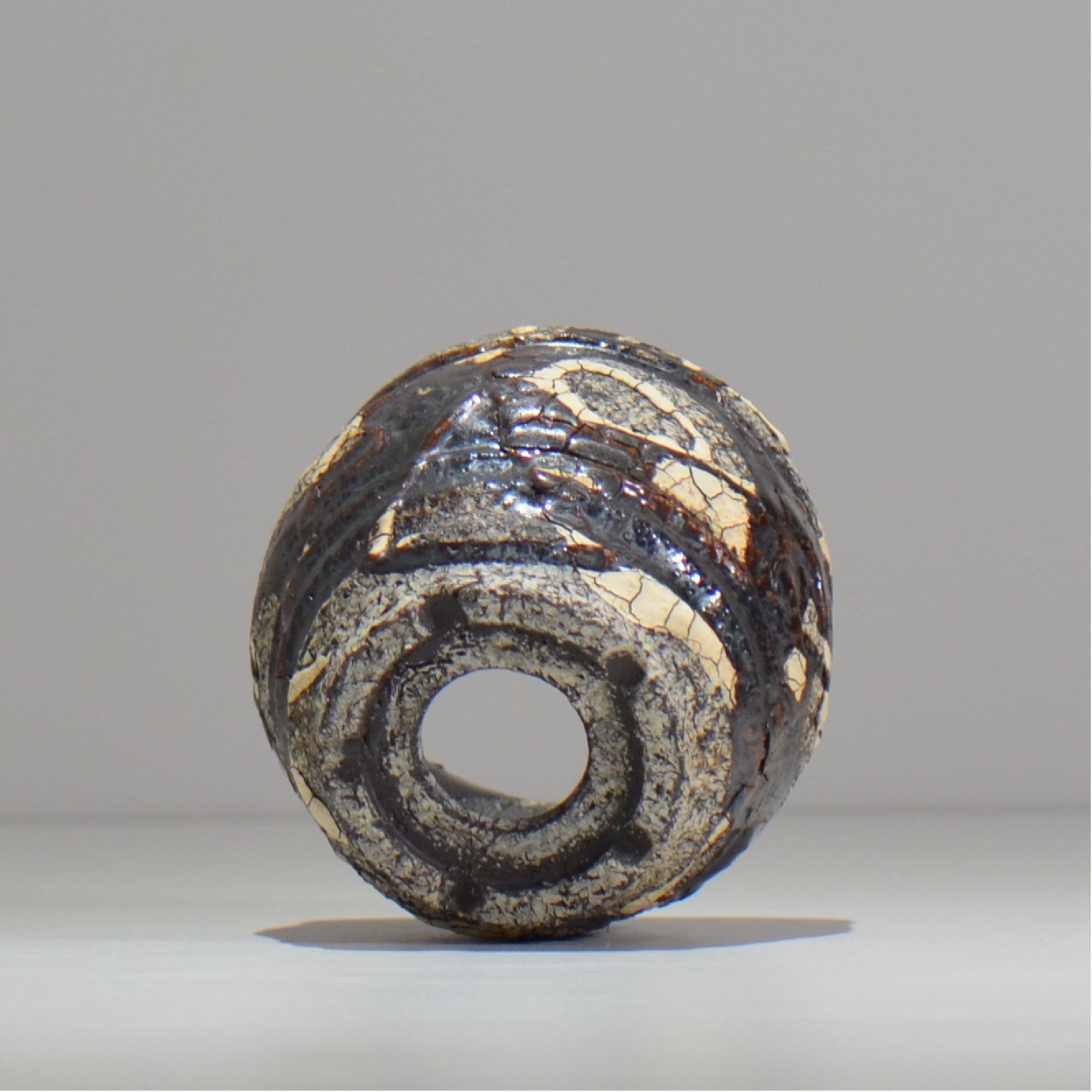 松井邦明 /  蔓  / mk2_kz05_xs / 約 8.7m / 植木鉢