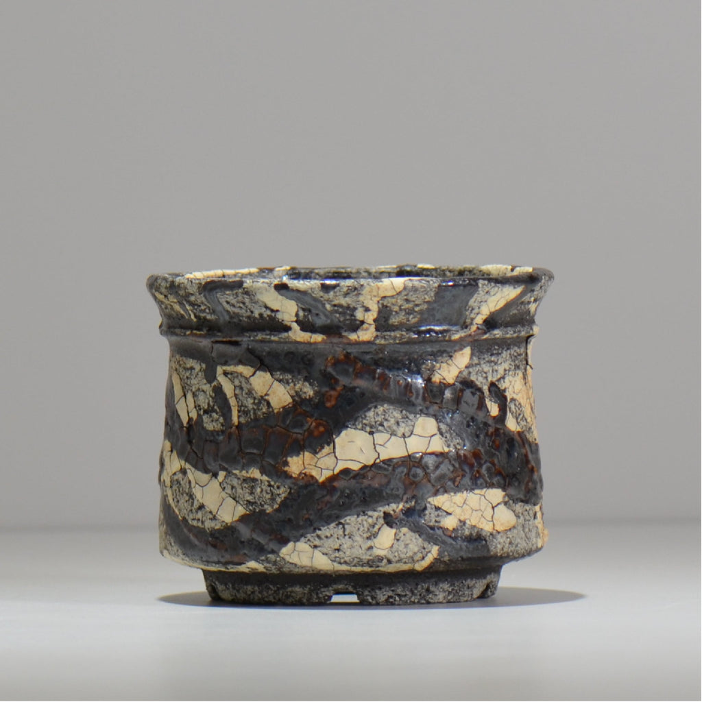 松井邦明 /  蔓  / mk2_kz07_s / 約 12cm / 植木鉢