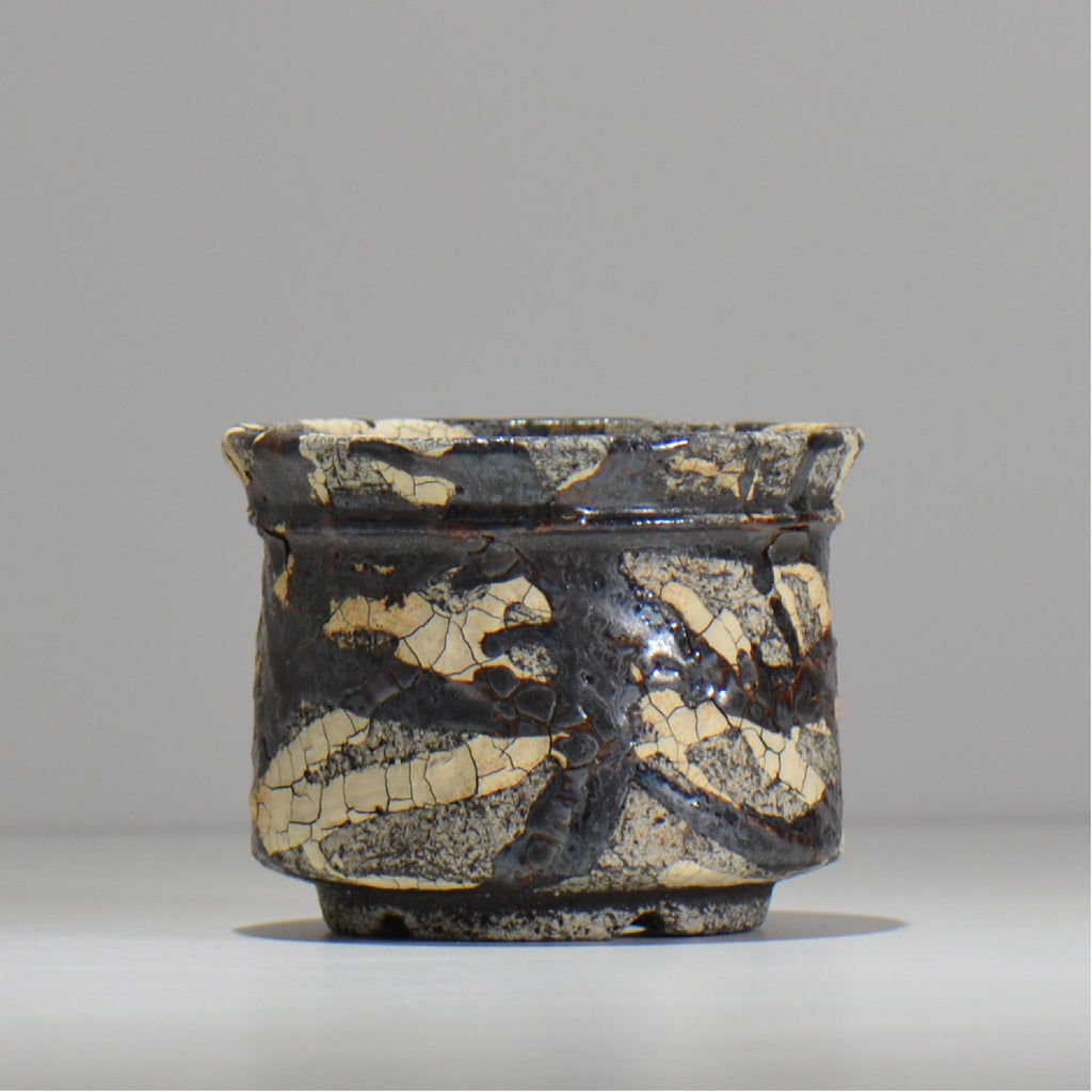 松井邦明 /  蔓  / mk2_kz07_s / 約 12cm / 植木鉢