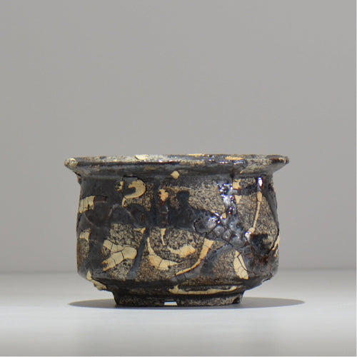 松井邦明 /  蔓  / mk2_kz09_m / 約 14cm / 植木鉢