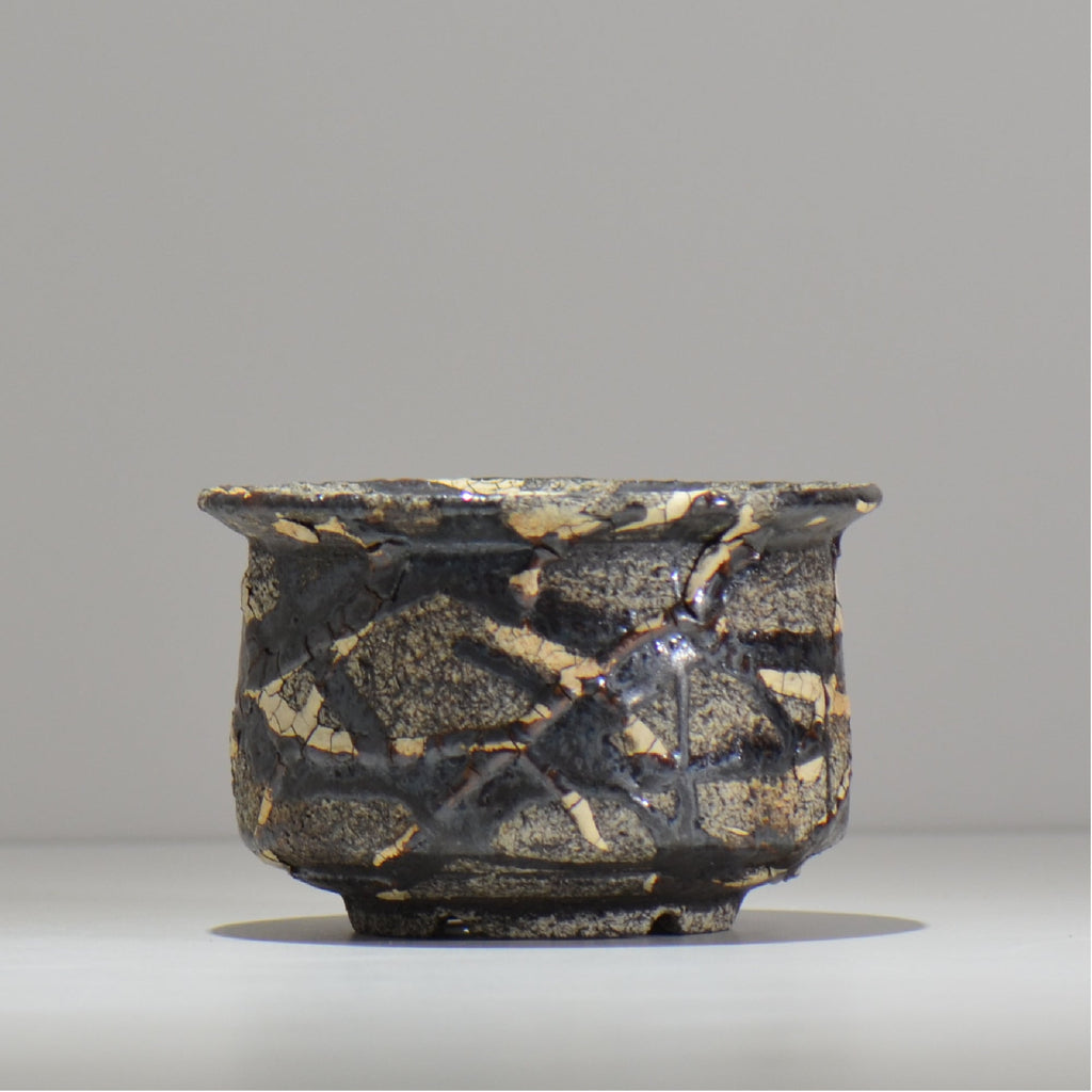 松井邦明 /  蔓  / mk2_kz09_m / 約 14cm / 植木鉢