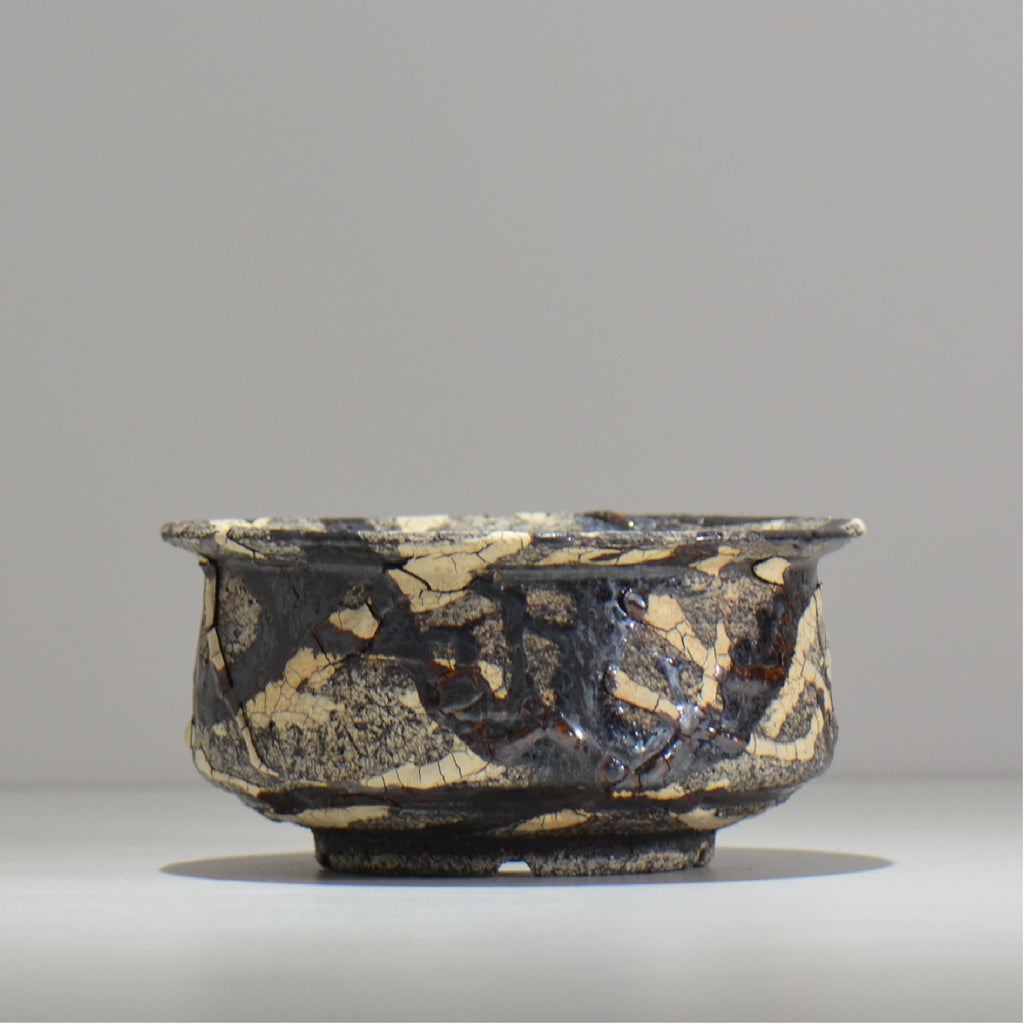 松井邦明 /  蔓  / mk2_kz10_l / 約 17cm / 植木鉢