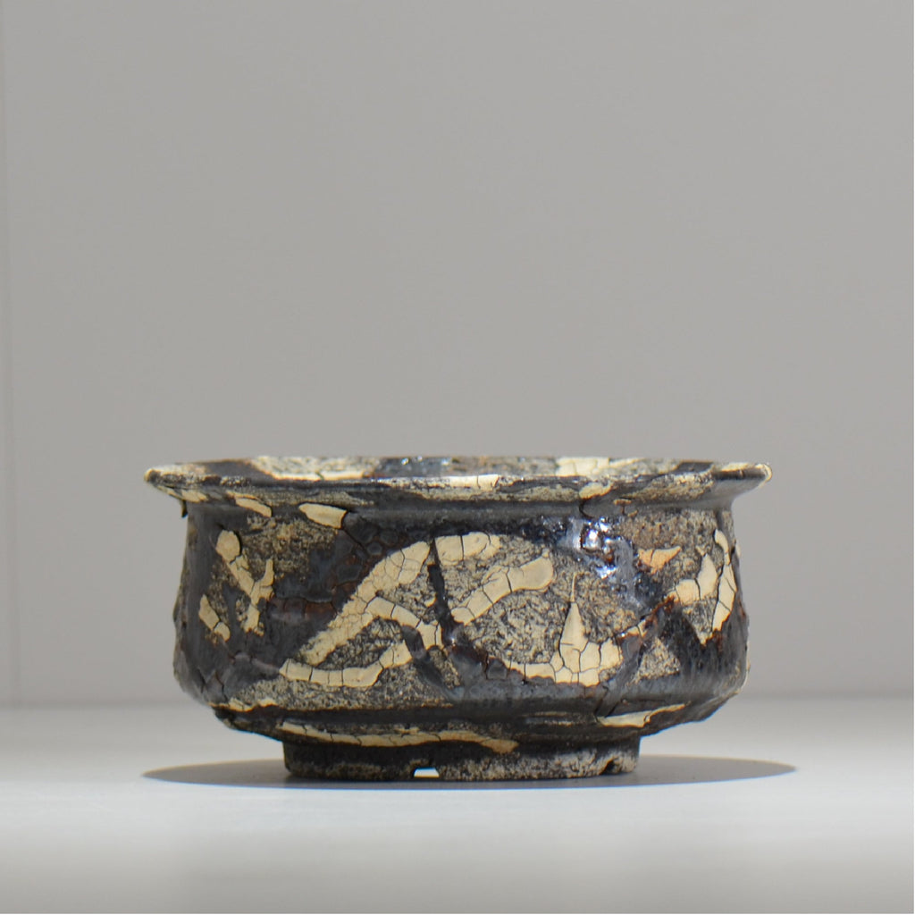 松井邦明 /  蔓  / mk2_kz10_l / 約 17cm / 植木鉢