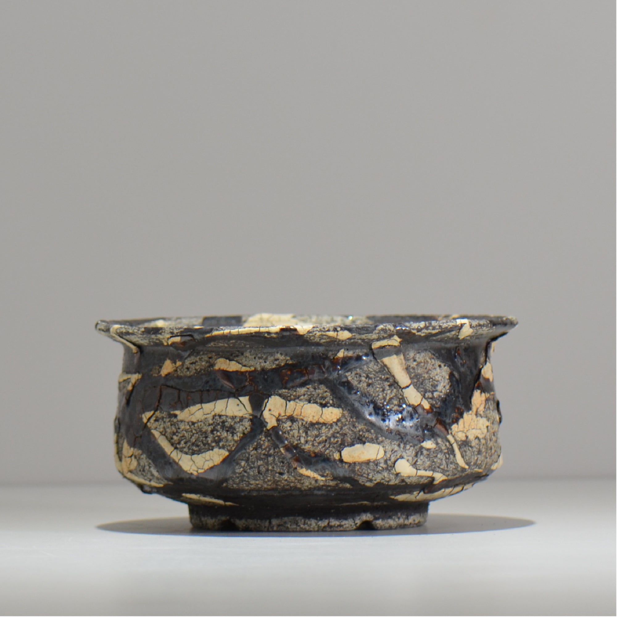 松井邦明 /  蔓  / mk2_kz10_l / 約 17cm / 植木鉢