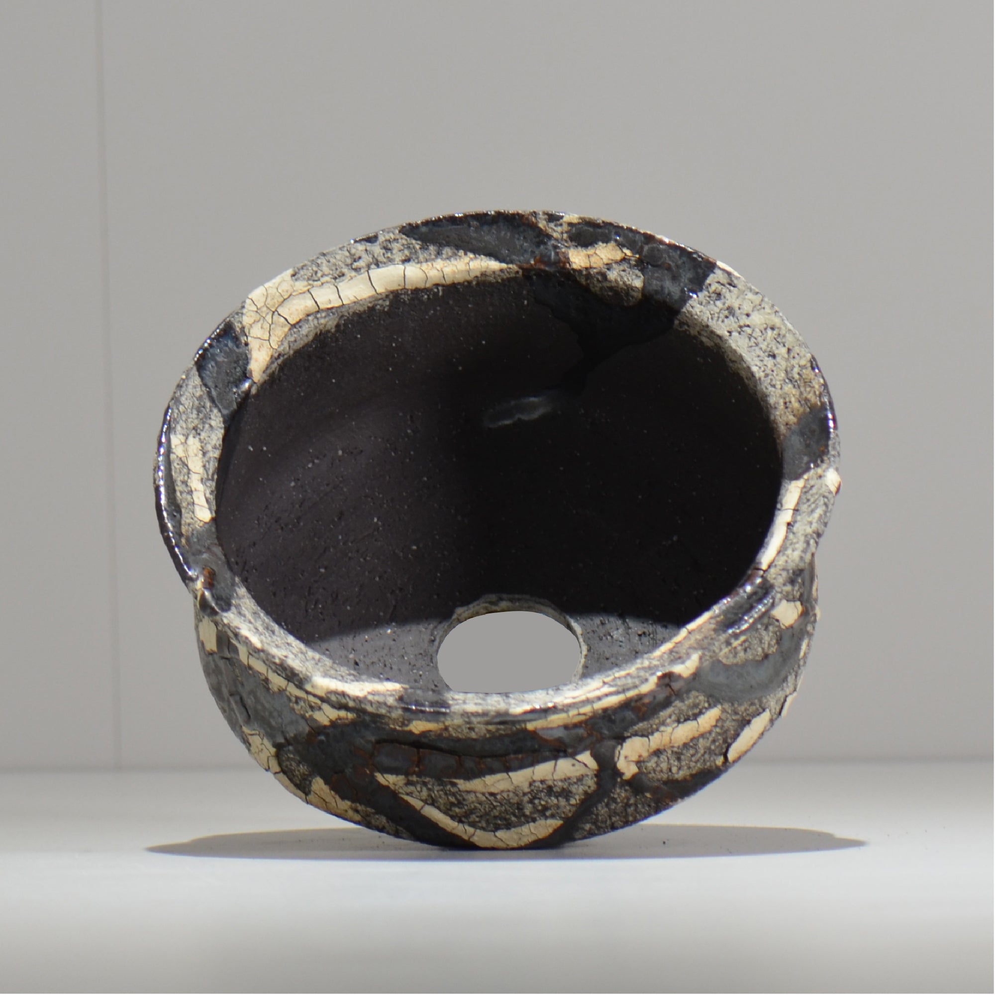 松井邦明 /  蔓  / mk2_kz10_l / 約 17cm / 植木鉢