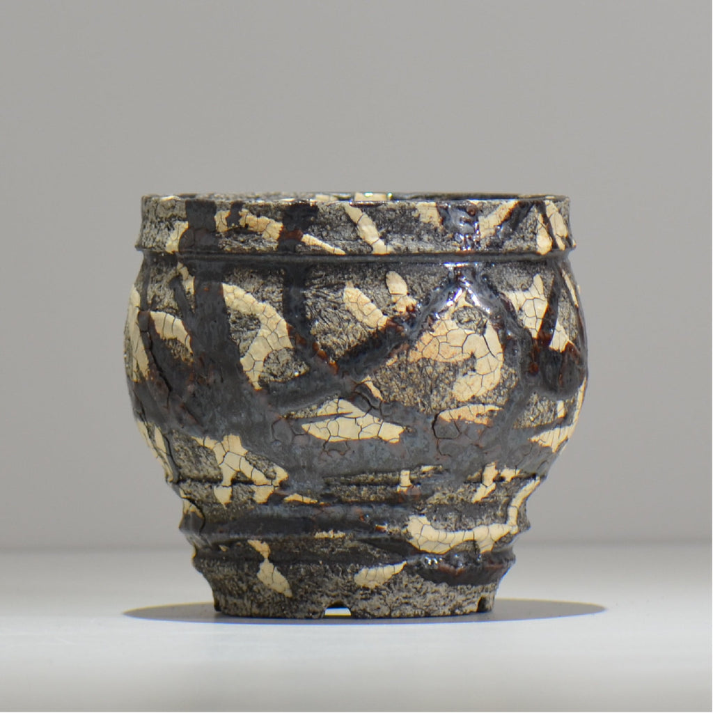 松井邦明 /  蔓  / mk2_kz11_m / 約 13cm / 植木鉢