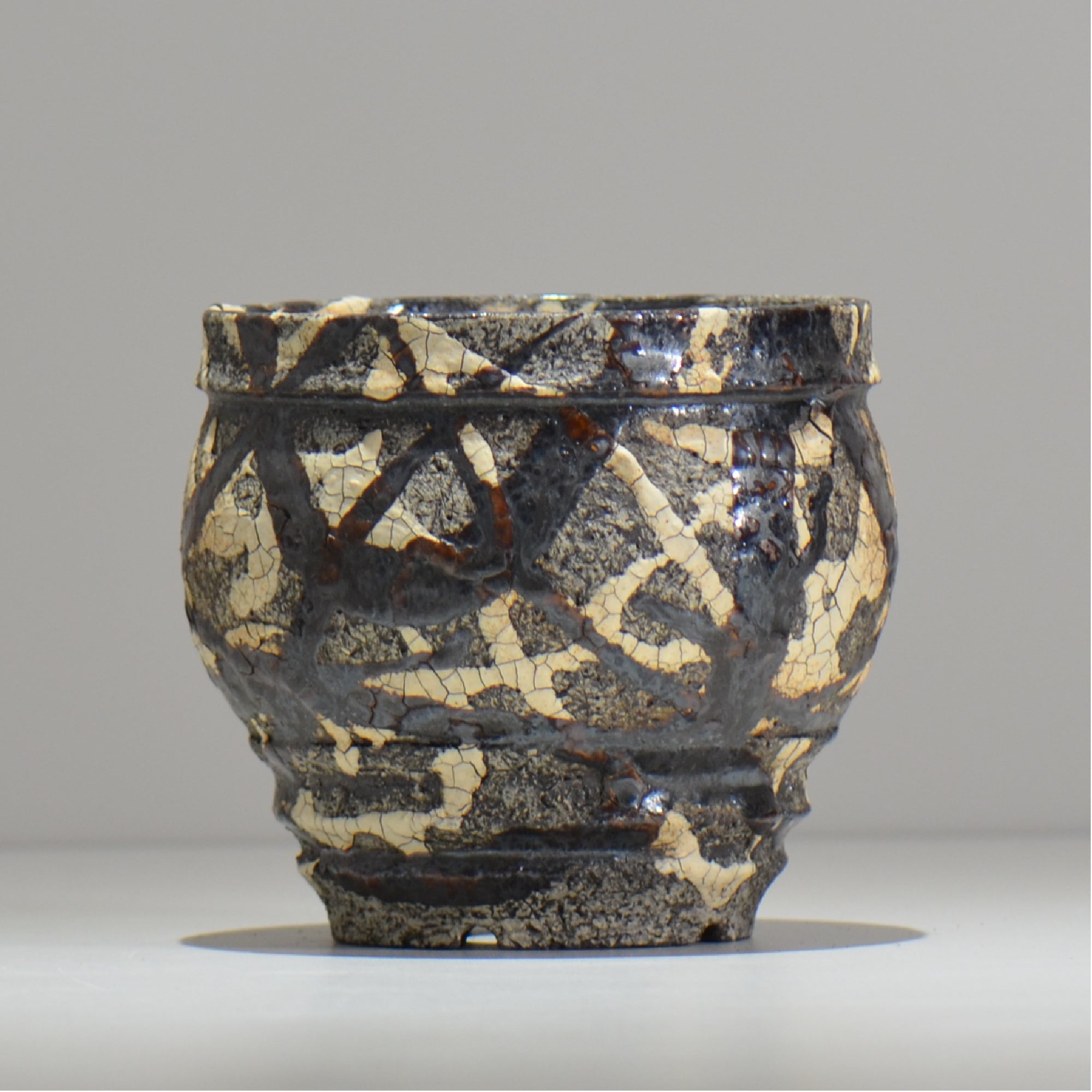 アガベ × GILA – ハチラボ