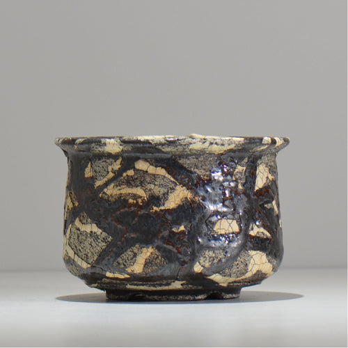 松井邦明 /  蔓  / mk2_kz12_l / 約 15.7cm / 植木鉢