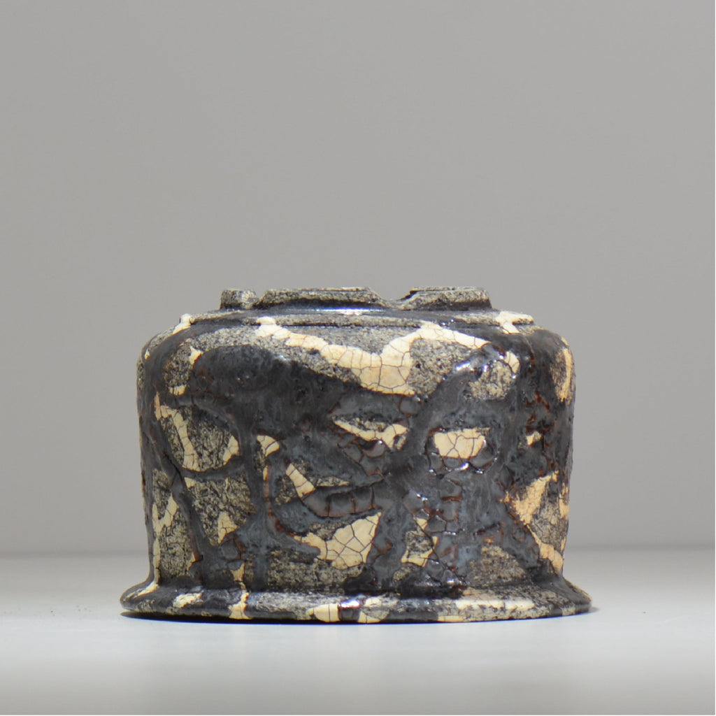 松井邦明 /  蔓  / mk2_kz12_l / 約 15.7cm / 植木鉢