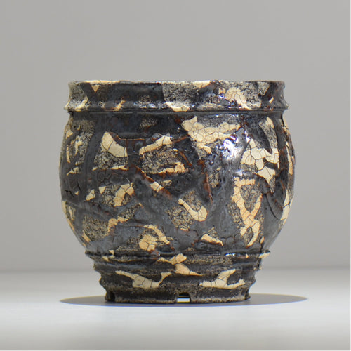 松井邦明 /  蔓  / mk2_kz14_m / 約 14.5cm / 植木鉢