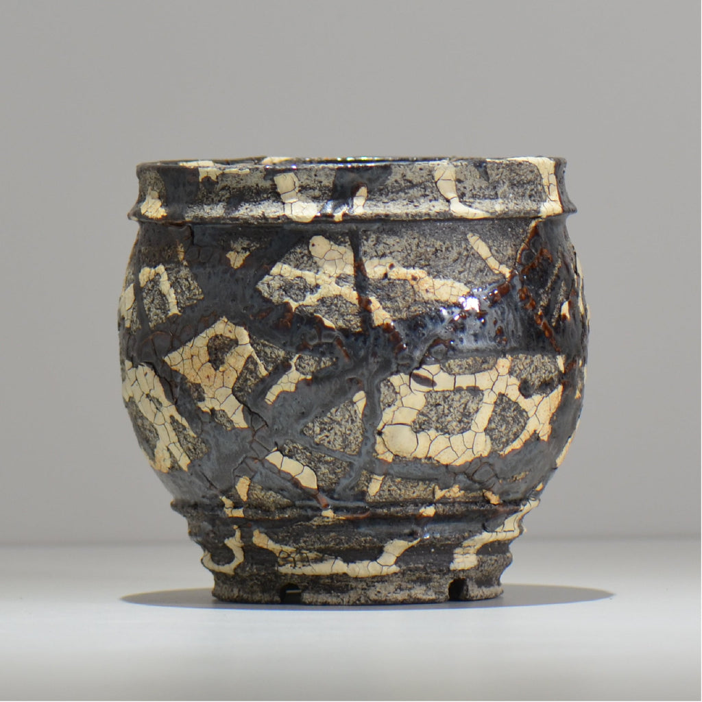 松井邦明 /  蔓  / mk2_kz14_m / 約 14.5cm / 植木鉢