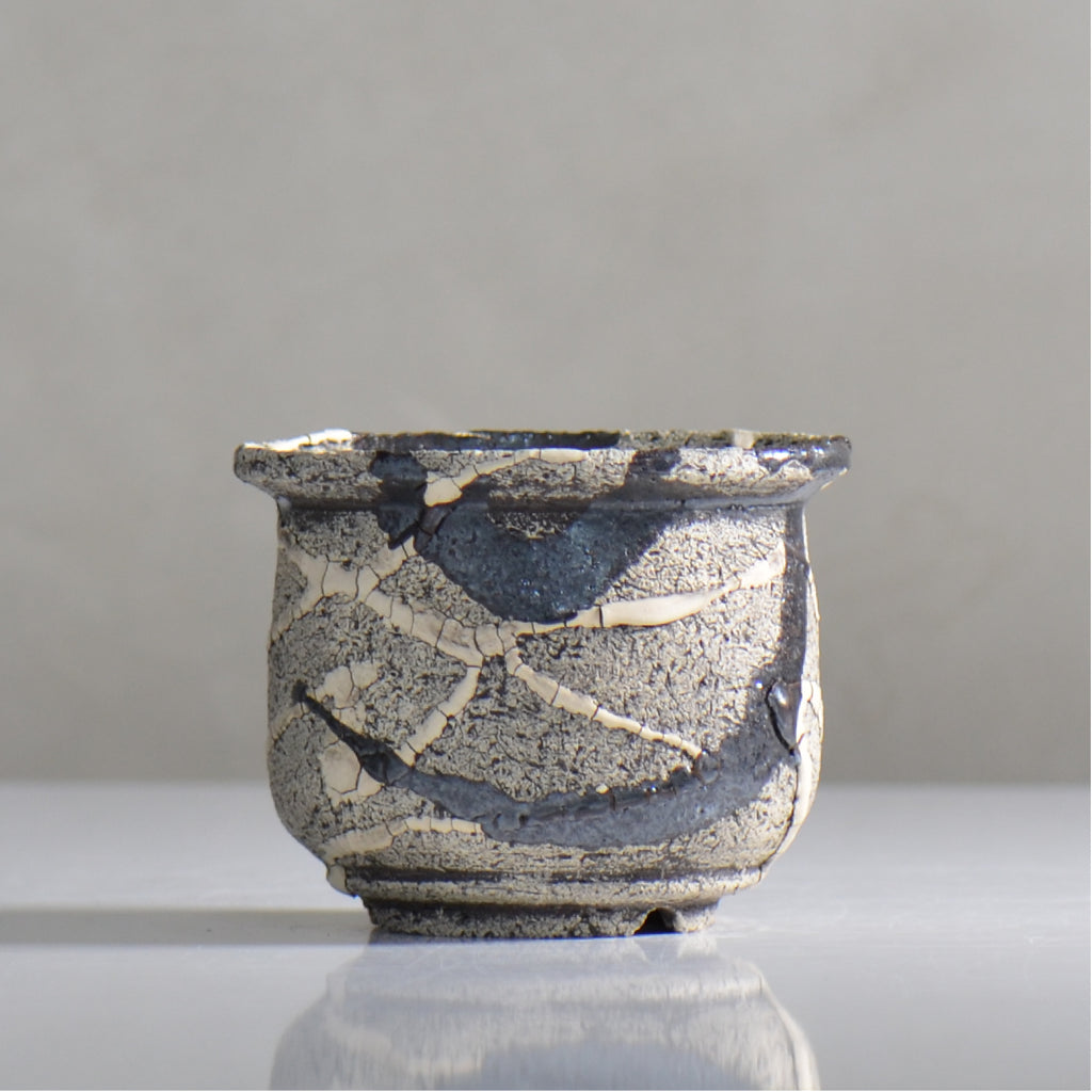松井邦明 /  蔓  / mk4_kz02_s / 約 11cm / 植木鉢