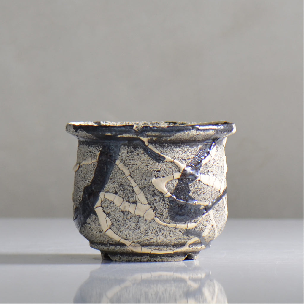 松井邦明 /  蔓  / mk4_kz02_s / 約 11cm / 植木鉢