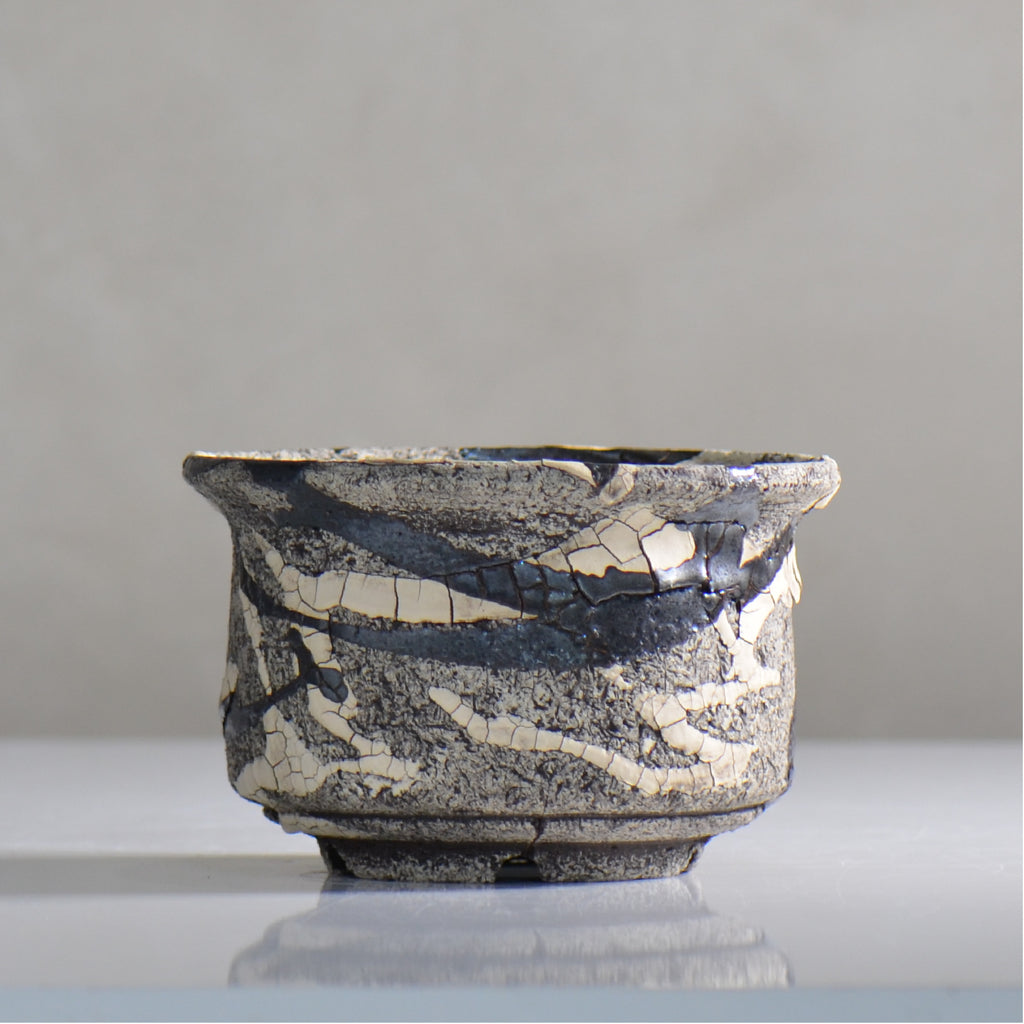 松井邦明 /  蔓  / mk4_kz05_m / 約 14.5cm / 植木鉢