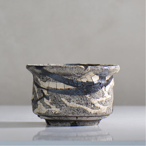 松井邦明 /  蔓  / mk4_kz05_m / 約 14.5cm / 植木鉢