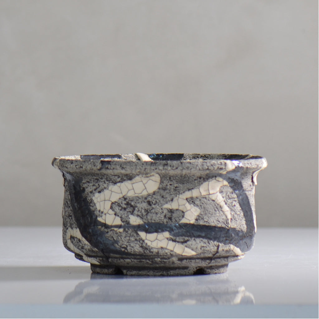 松井邦明 /  蔓  / mk4_kz06_l / 約 15.5cm / 植木鉢