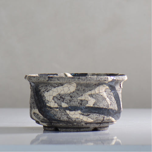松井邦明 /  蔓  / mk4_kz06_l / 約 15.5cm / 植木鉢