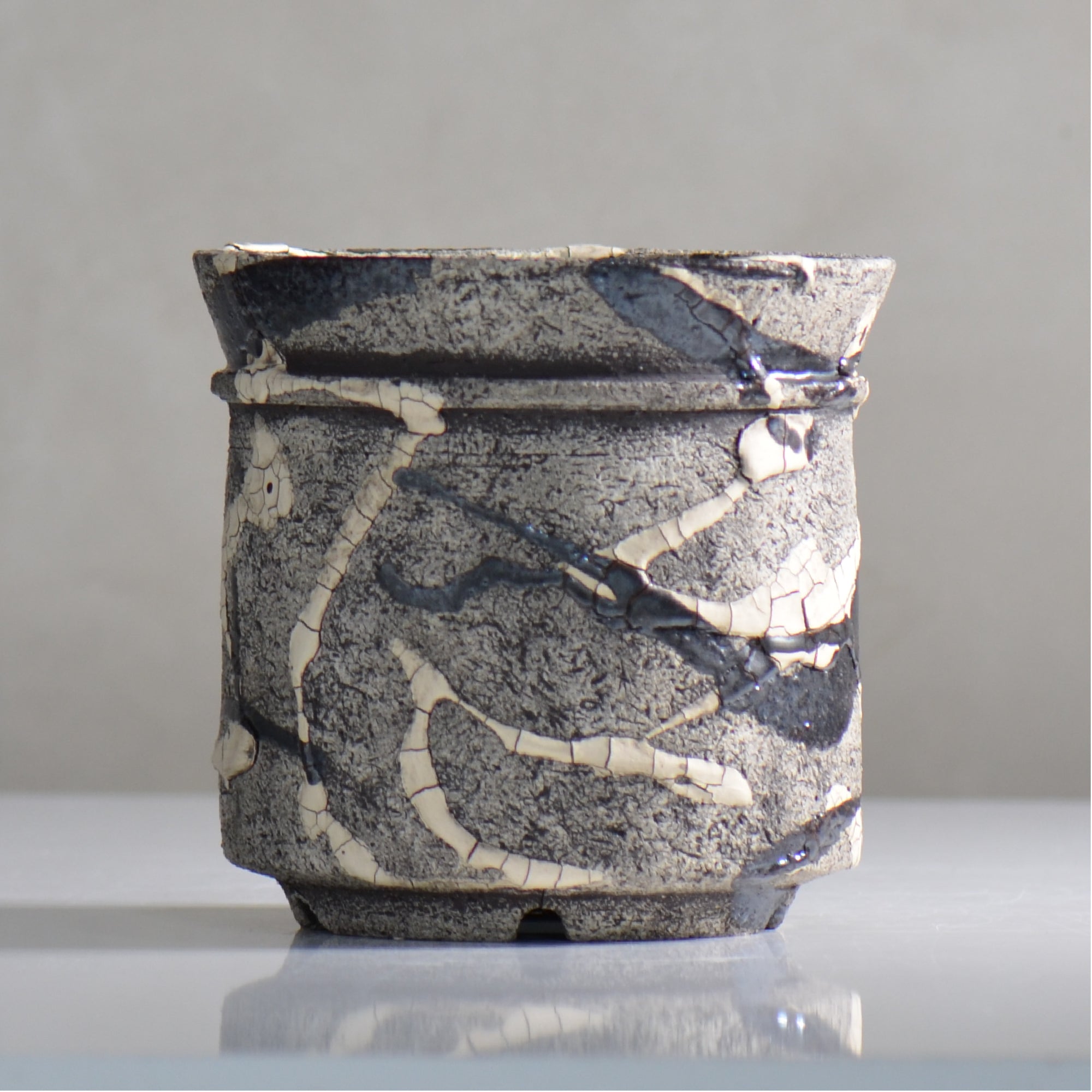 松井邦明 / 蔓 / mk4_kz10_m / 約 15cm / 植木鉢 – ハチラボ