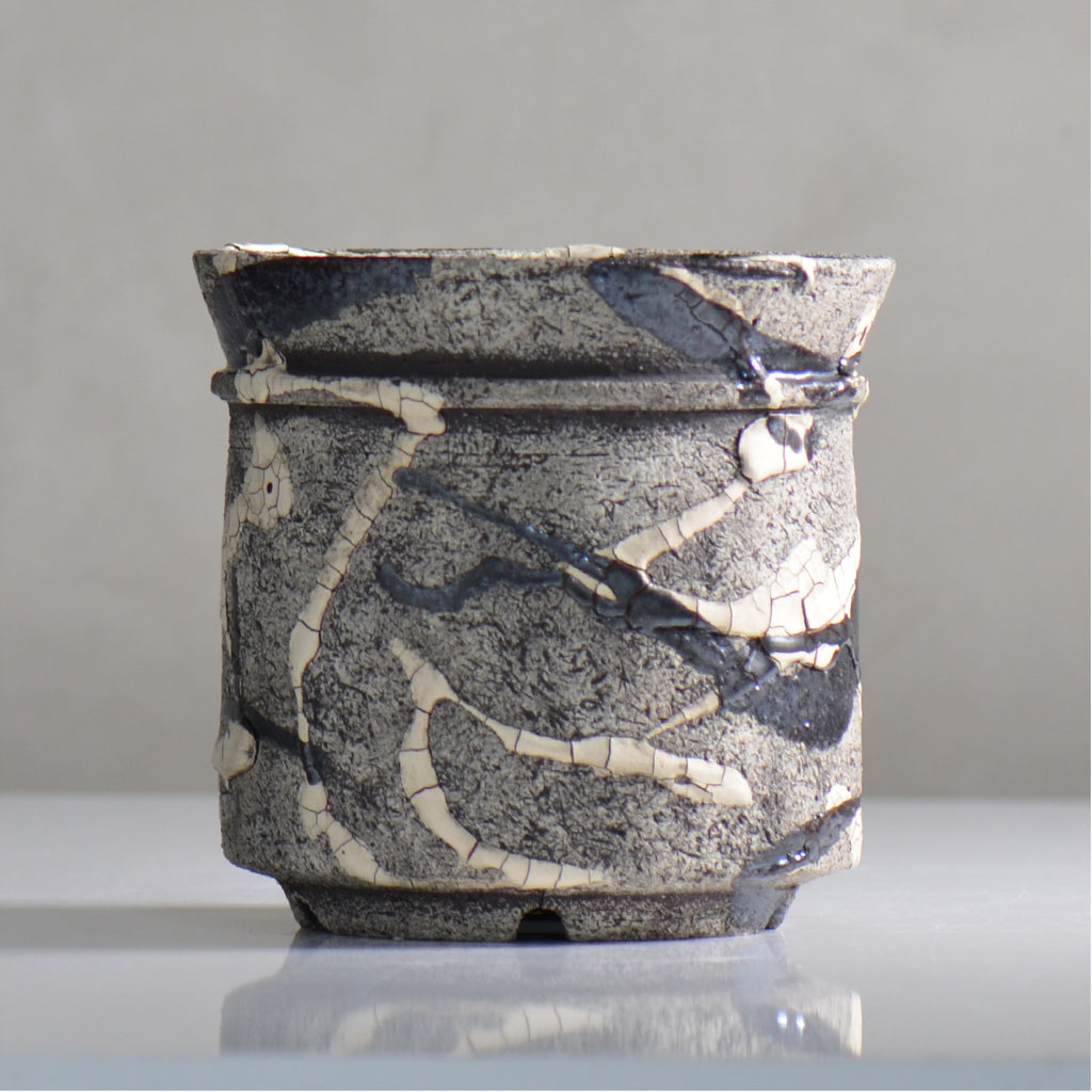 松井邦明 /  蔓  / mk4_kz10_m / 約 15cm / 植木鉢
