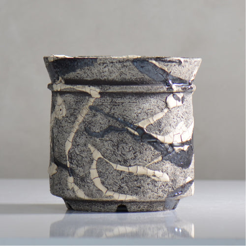 松井邦明 /  蔓  / mk4_kz10_m / 約 15cm / 植木鉢