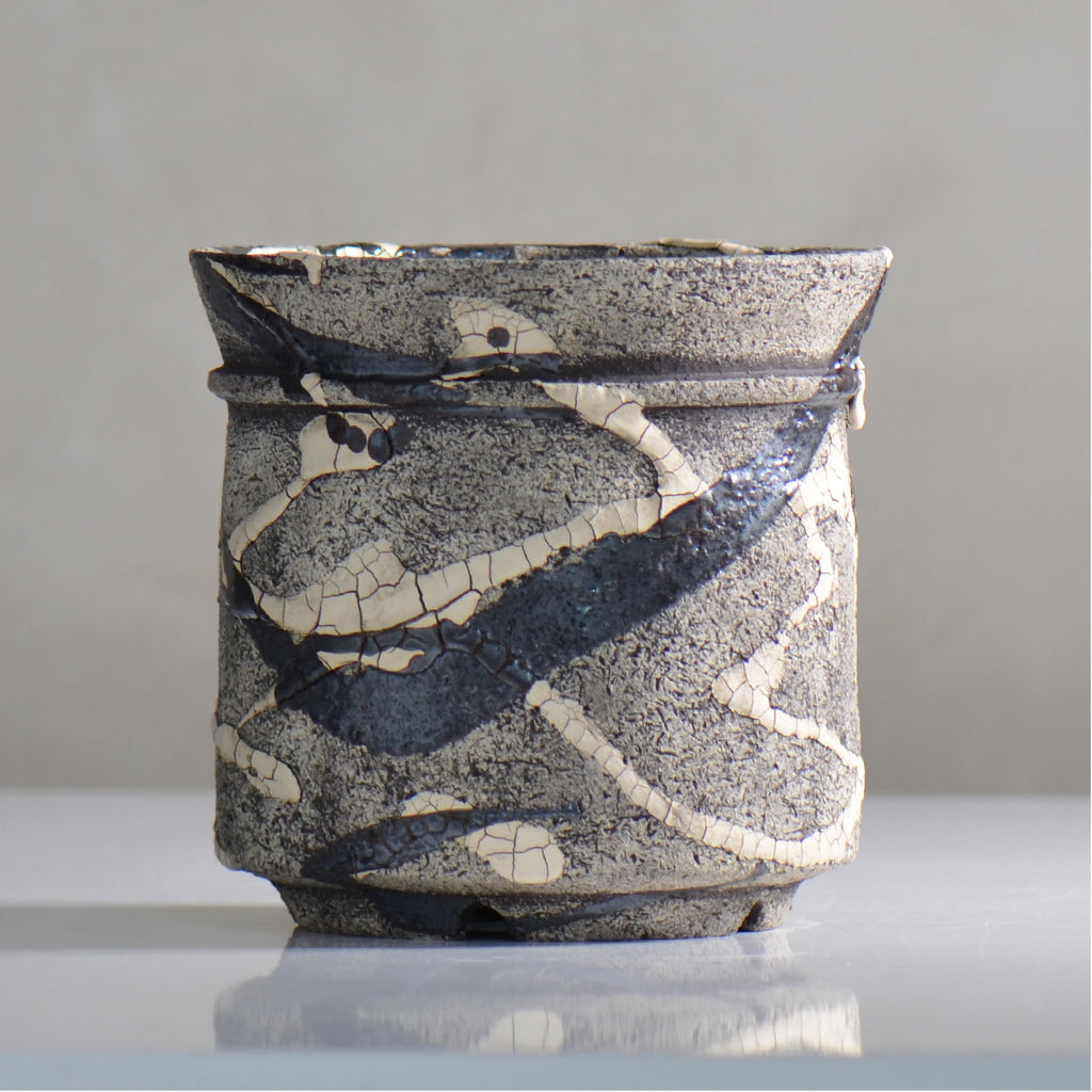 松井邦明 /  蔓  / mk4_kz10_m / 約 15cm / 植木鉢