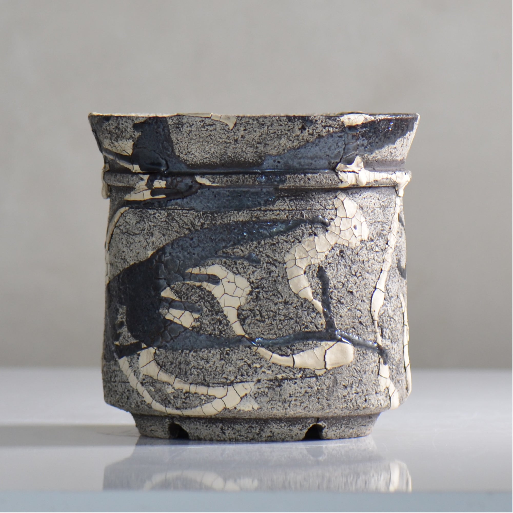 松井邦明 /  蔓  / mk4_kz10_m / 約 15cm / 植木鉢
