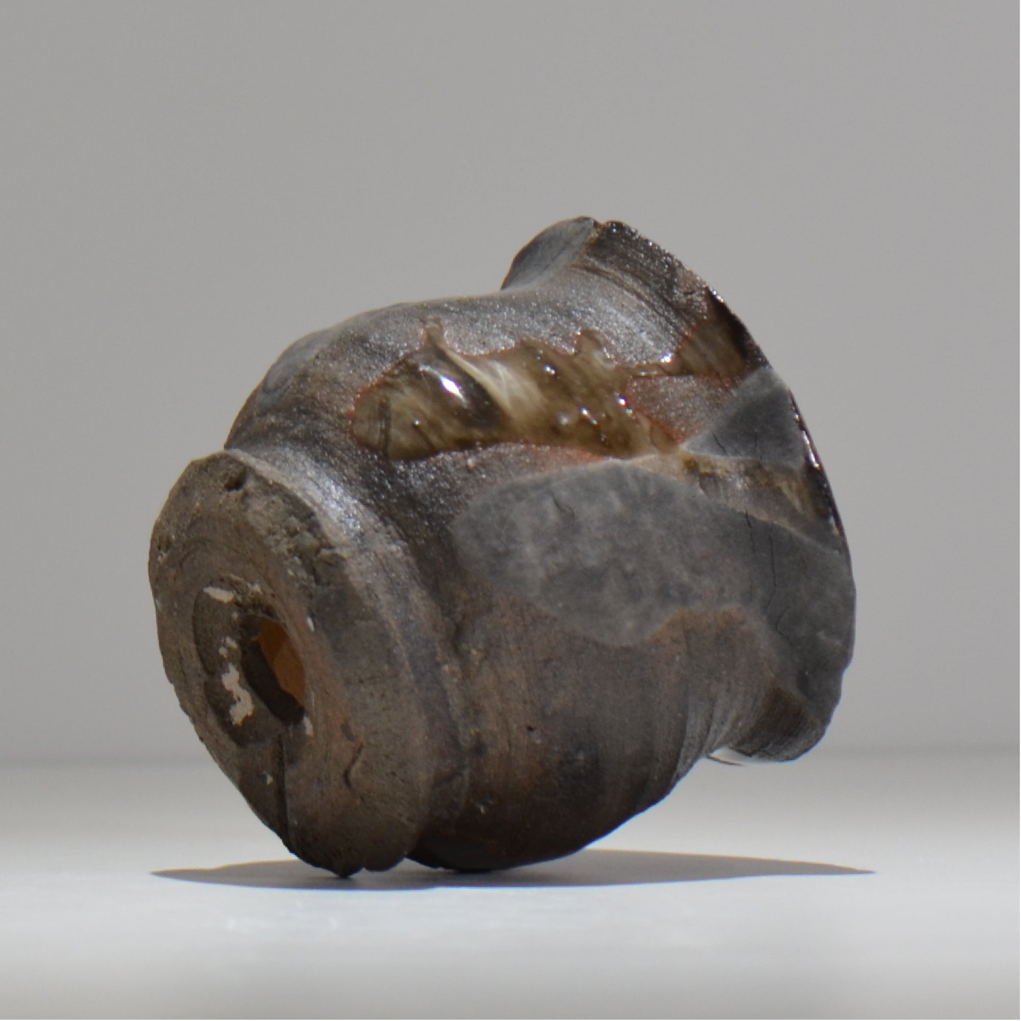 川合 牧人 / JOUKON / mk_ju03_s / 約φ11cm / 植木鉢