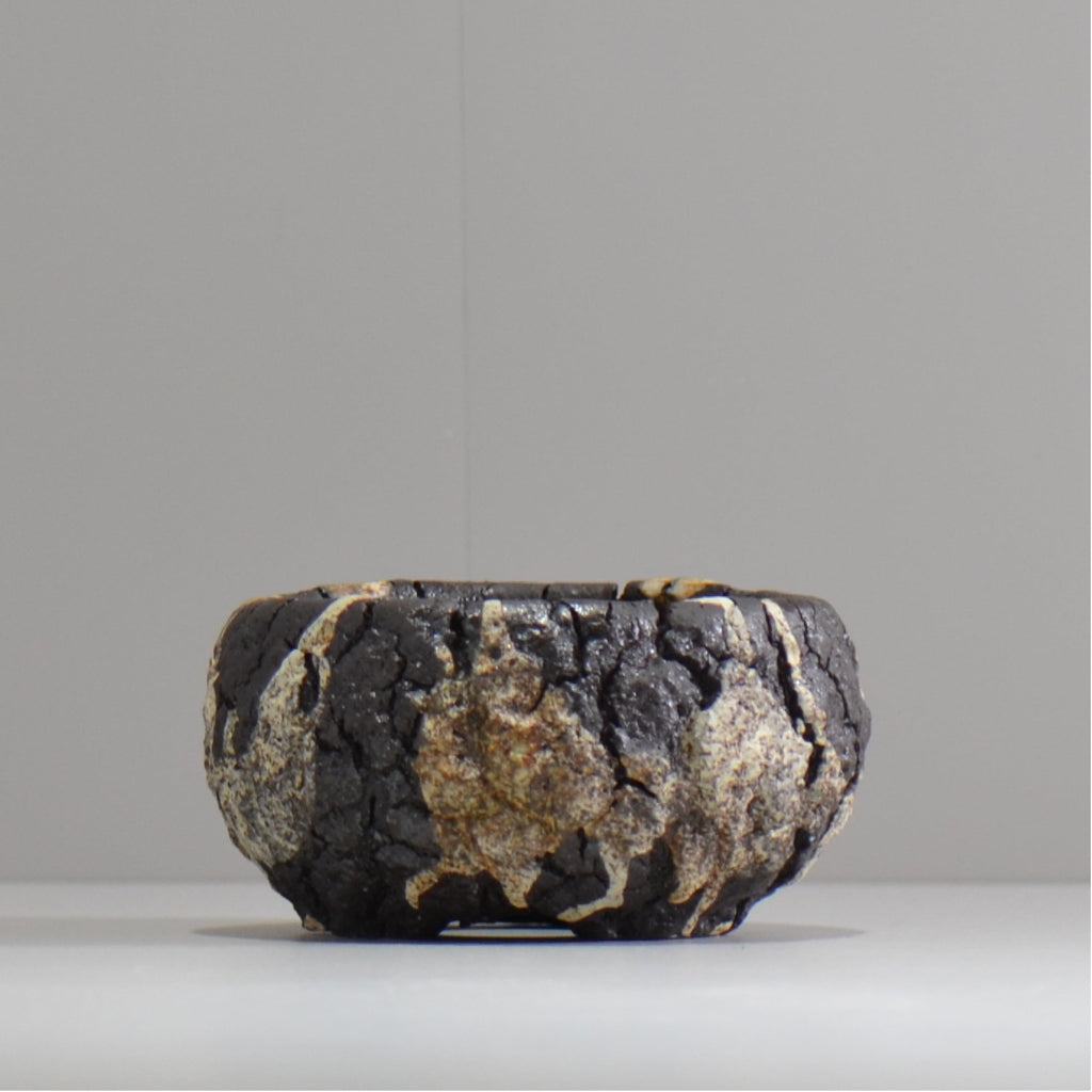 松井邦明 /  枯渇  / mk_ko01_s / 約 9.5cm / 植木鉢